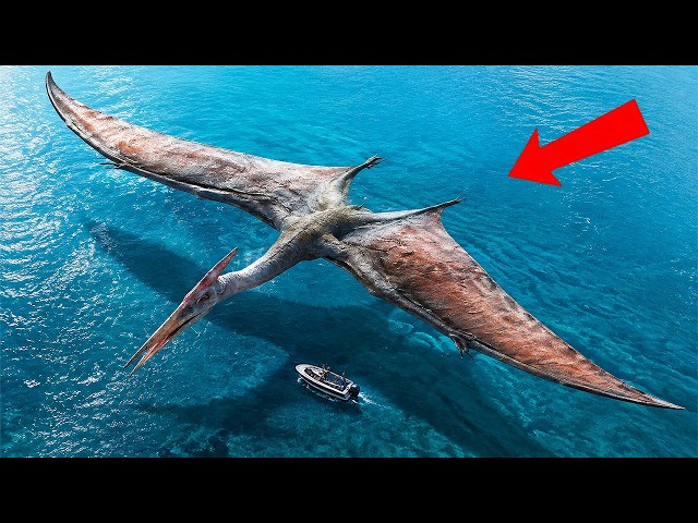 310ft Largest Predator That Ever Flew is BACK FROM EXTINCTION - Caught Near Cuba
