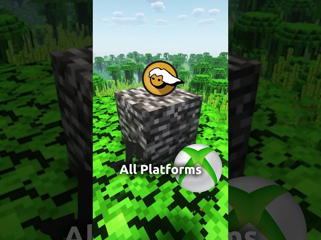 Will Java Minecraft Disappear?