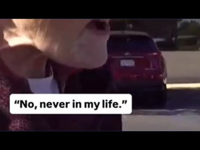 Seniors react to Waymo ahead of its official launch next year