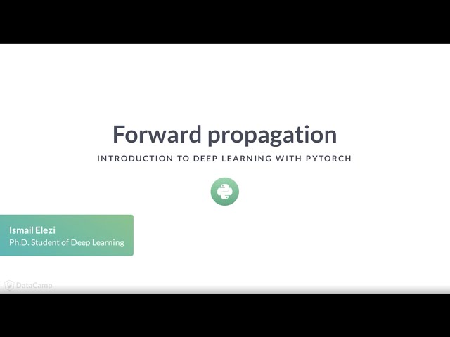 PyTorch Tutorial : Forward propagation