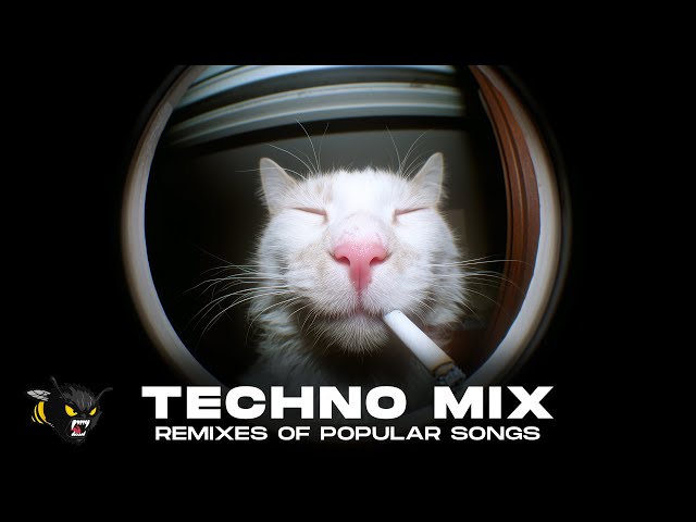 🐝 TECHNO RAVE MIX 2025 🐝 BEST REMIXES OF POPULAR SONGS | NONSTOP TECHNO BANGERS