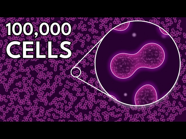 How I Simulated 100,000 Cells At 60 FPS