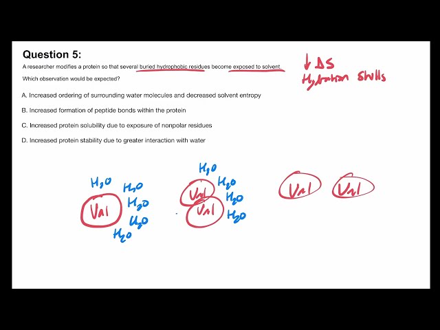 MCAT Prep Ep7 (Part 2) | Biochem Practice Problems: Protein Structure