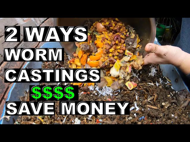 2 Ways Worm CASTINGS can save you $$- European Night Crawlers
