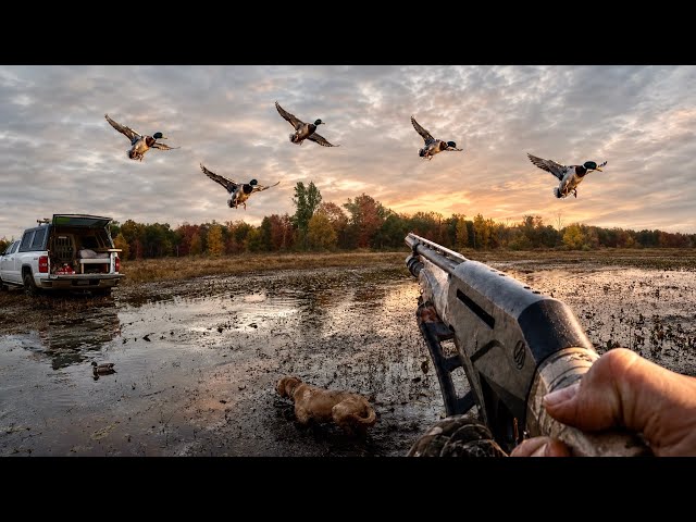 4 Days Living Out of My Truck Hunting Ducks | Full Film