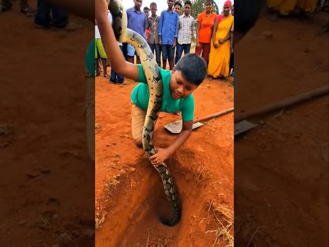 Is This the Bravest Kid in the World? 😱