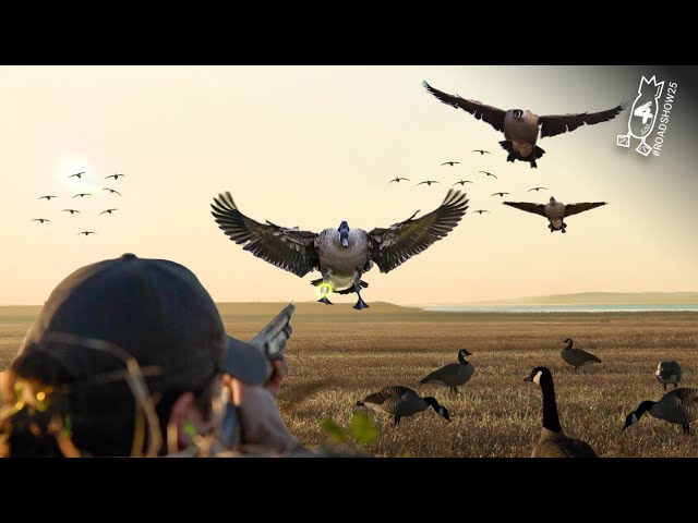 2-MAN GOOSE HUNT IN NEW AREA PAYS OFF! | #ROADSHOW25 HUNT 4