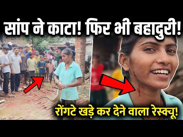 रेस्क्यू करते समय जोड़ा सांपों ने काटा फिर भी बहादुर महिला ने सांपों को किया रेस्क्यू#viral video