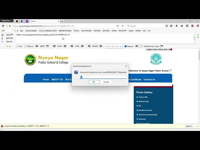 Basic SQL Injection Tutorial (Object Attribute Inspection)