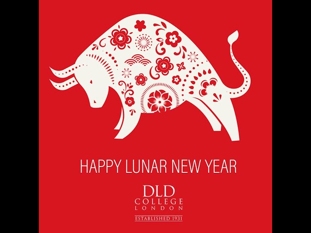 Happy New Year - Year of the Ox