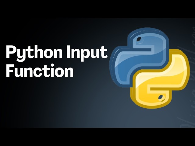 How to Run Python in Visual Studio Code (Beginner Tutorial)