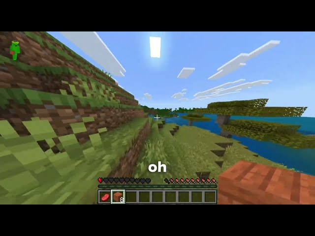 Minecraft but if I take damage I get CRACKED