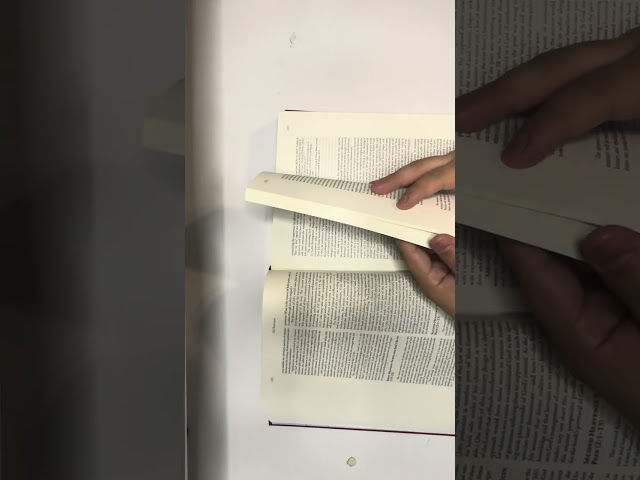 The Paulist Biblical Commentary