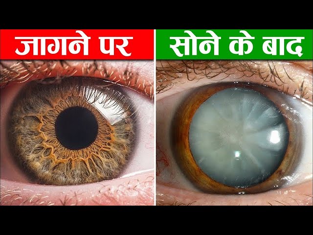 इंसानी शरीर के ये २५ रहस्य आपके होश उड़ा देंगे । 25 Unbelievable Facts of Human