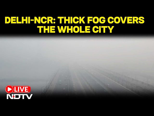 Delhi Weather Today | Delhi Fog | Delhi Weather | Delhi News LIVE | Delhi Fog Today | Delhi LIVE