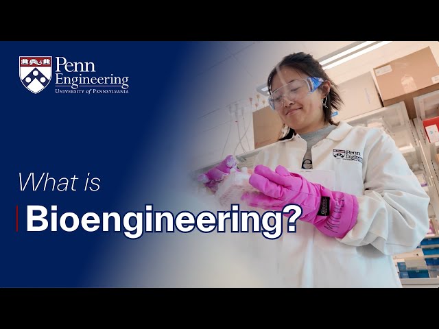What is Bioengineering? | Penn Engineering