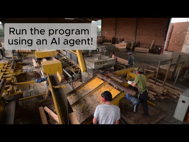 Run the Python Program with an AI Agent (🚀 Launchpad Lab)
