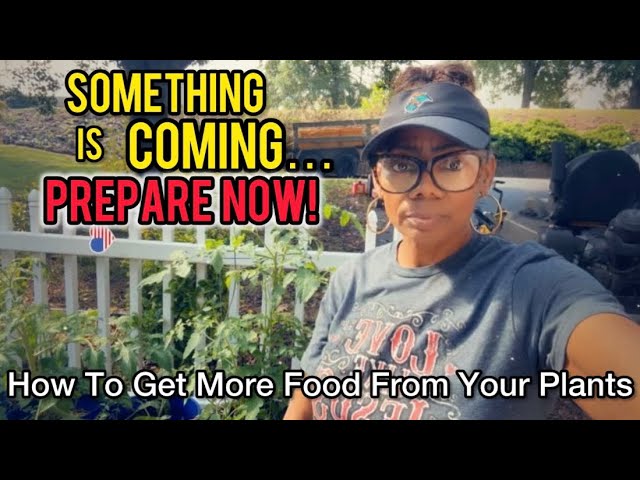 Most People are NOT Ready… Things You Should Do NOW! Beginner Gardening | Stock-up Everything ! 