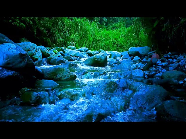 Slow Flowing River Sleep Sounds to Soothe, Relax, and Quiet Your Mind Before Bed