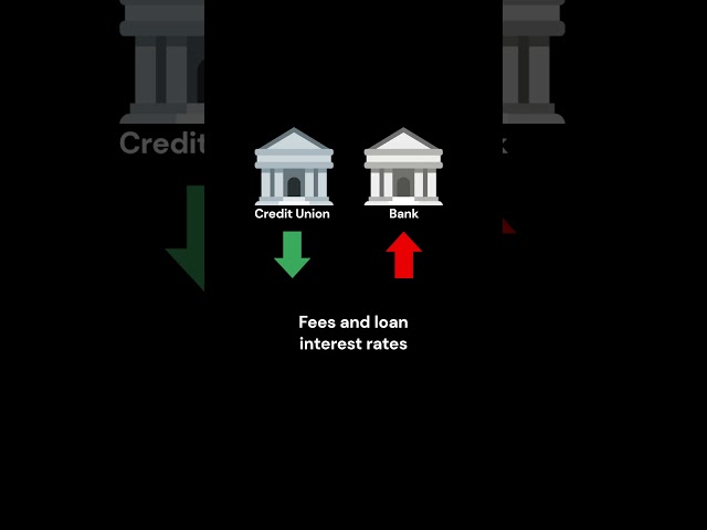 What is a Credit Union? | Finance Terms Explained For Beginners