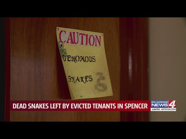 Dead snakes left by evicted tenants in Spencer
