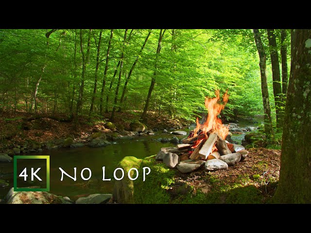 3 h - NO LOOP | Campfire by the river fading into dark night | Authentic nature | 4K video