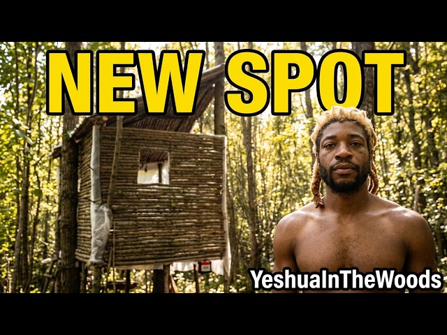 I'm  Building A Treehouse In The Woods 