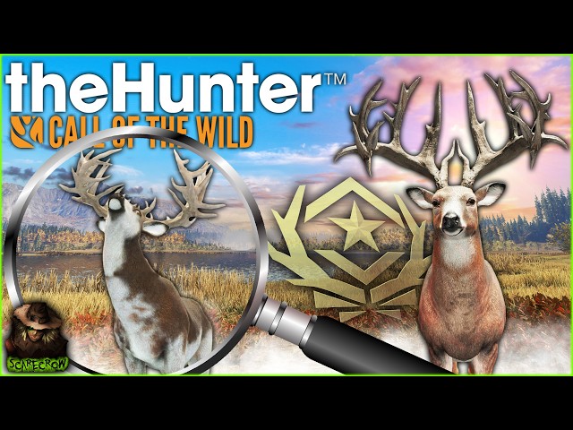 Chasing The Fabled Piebald Leads To A Great One Whitetail Deer! Call of the wild