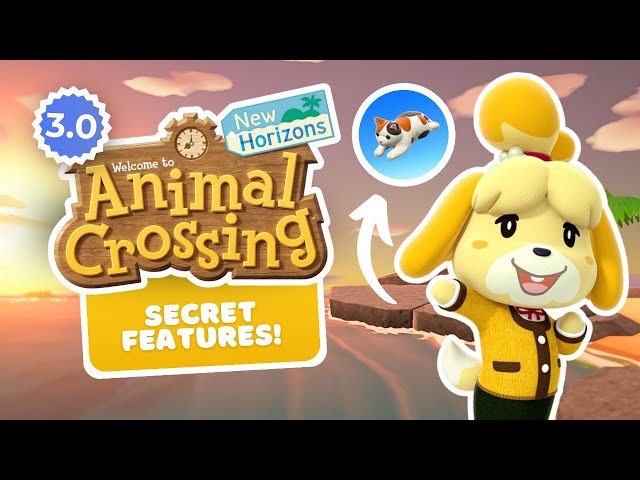 What They DIDN'T Tell Us About the Animal Crossing 3.0 Update! 😱| Wish I Knew 📖