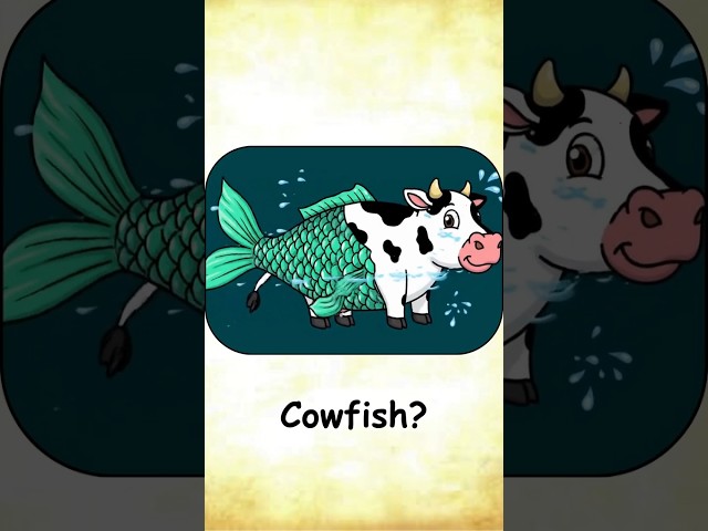 Top Literal vs Real Meaning of English Compound Words