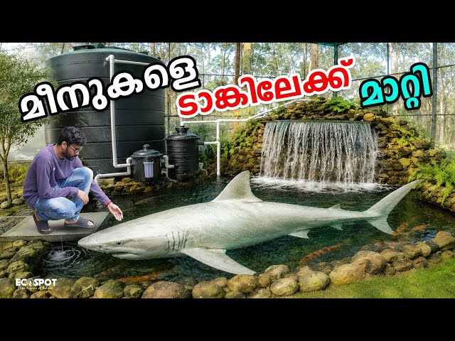 🔥 When we put this many fish in one tank... 😱 | 🐟 We Put All the Caught Fish into One Tank...!