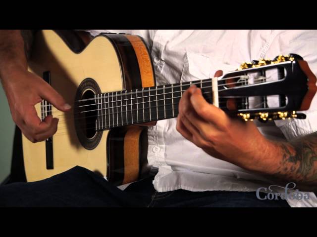 Holy Wars (Flametal Cover by Ben Woods) - ft. 55FCE Negra Ltd.