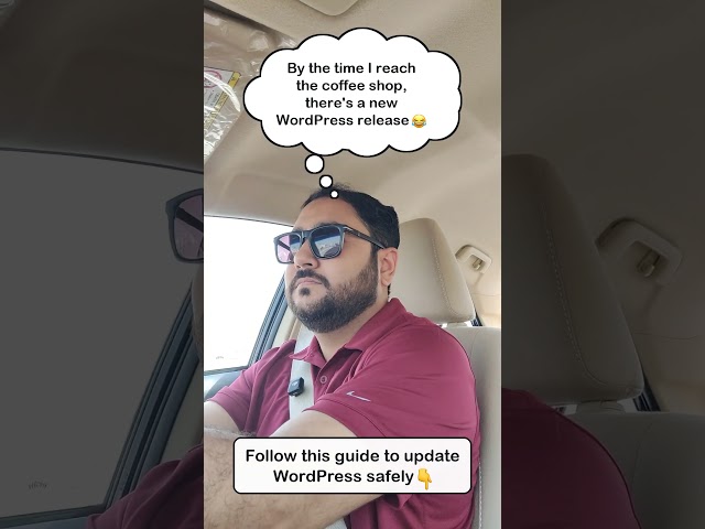 Another Day - Another WP Release