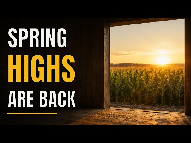 “Pro Farmer’s 173 Corn Estimate: Sell This Rally?” - Weekly Market Outlook: Aug 24-28
