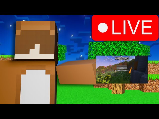 🔴LIVE!🔴 Minecraft Java!
