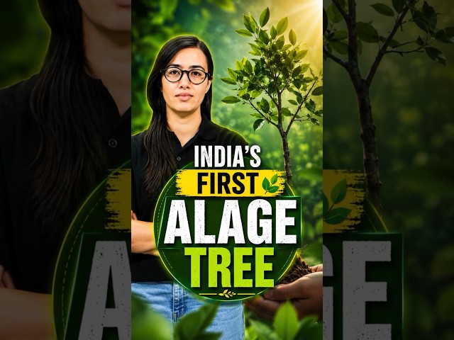 India’s First Alage Tree 🌱😱 Future of Green Technology Explained | Amazing Innovation #Shorts