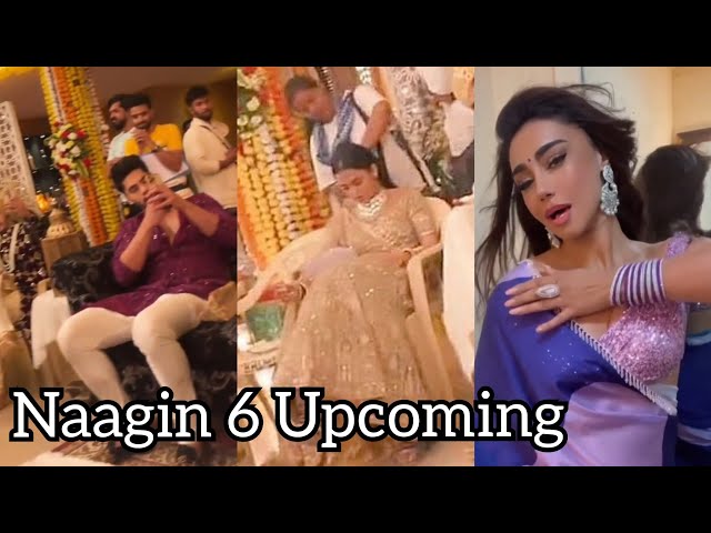 Rishabh Mahek | Rehan Ki Shaadi | Naagin 6 Telly Updates