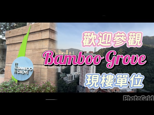 中半山 竹林苑 Bamboo Grove 82座 實用 2084‘ 『外區特約』『現樓參觀』傳統地段 交通便利 半山大宅 #堅尼地道 #灣仔站 #Catherine #帶你睇樓2025 #香港樓市
