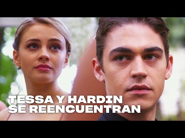 Tessa y Hardin se reencuentran en la boda | After: Aquí Acaba Todo
