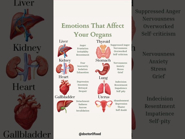 How Emotions Secretly Impact Your Organs | Mind-Body Connection Explained