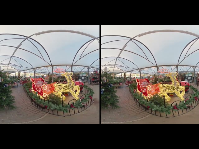 Garden Centre at Christmas 5000x2500 30fps - wide angle - sbs 3d parallel view