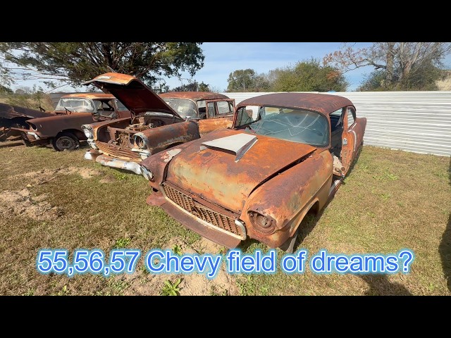 Field of 55,56,57 Chevys for sale cheap! One or all! Tons of cars and parts.