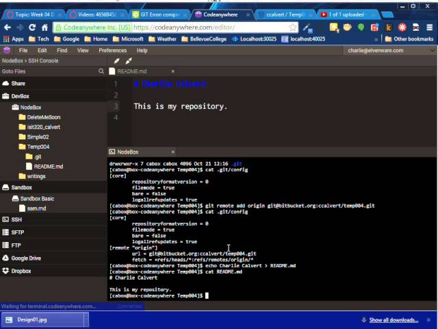 CodeAnywhereGit