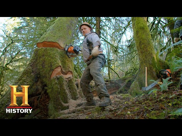Ax Men: Dangerous Game of Tree Dominoes (Season 10) | History
