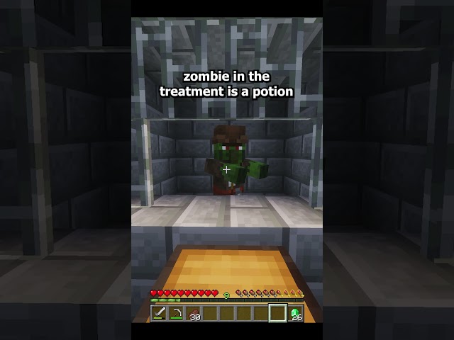 Minecraft's Healthcare System  #minecraft #shorts