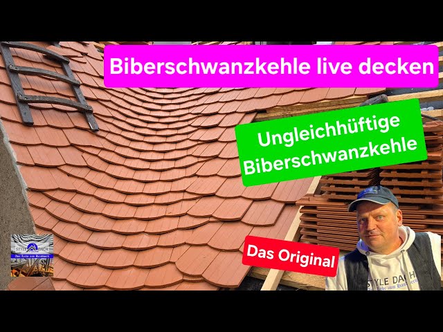 Biberschwanzkehle (ungleichhüftig) ansetzen - Teil 75 -  03.06.26 - Biberdach Leipzig