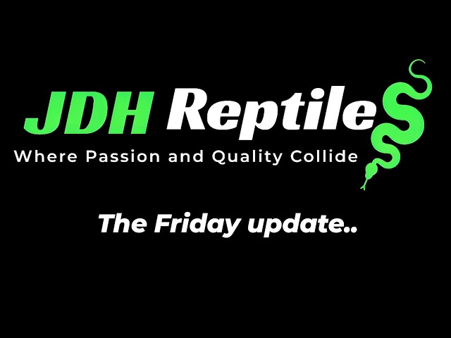 Friday update, checking on eggs, availability,  auction..