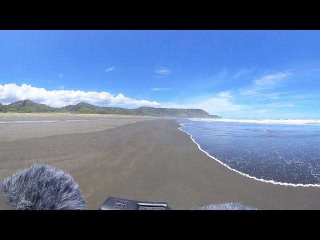 Piha Beach walkthrough 360 degrees video with natural sound/ Auckland 360 / New Zealand 360 degrees