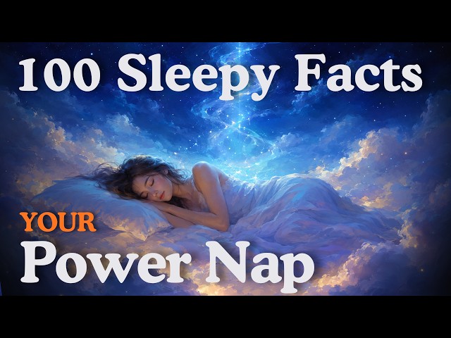 What Happens to Your Brain During a Nap? Relaxing Sleep Science Facts To Fall Asleep To