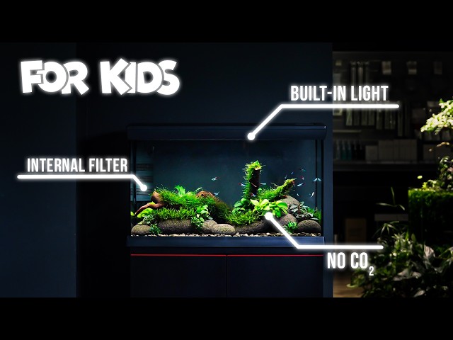 The Perfect First Aquarium for Kids?